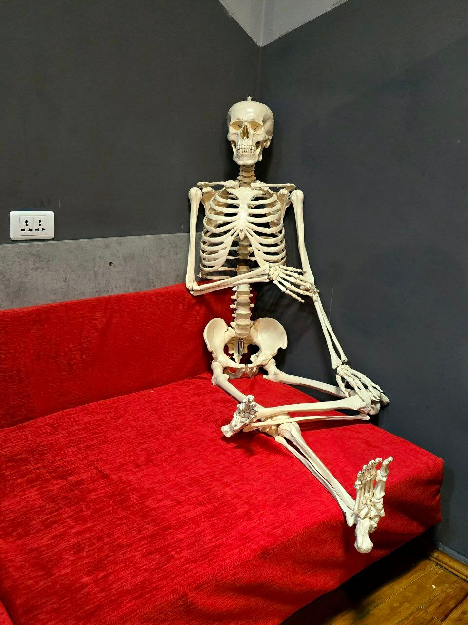 Фото Scary Hostel