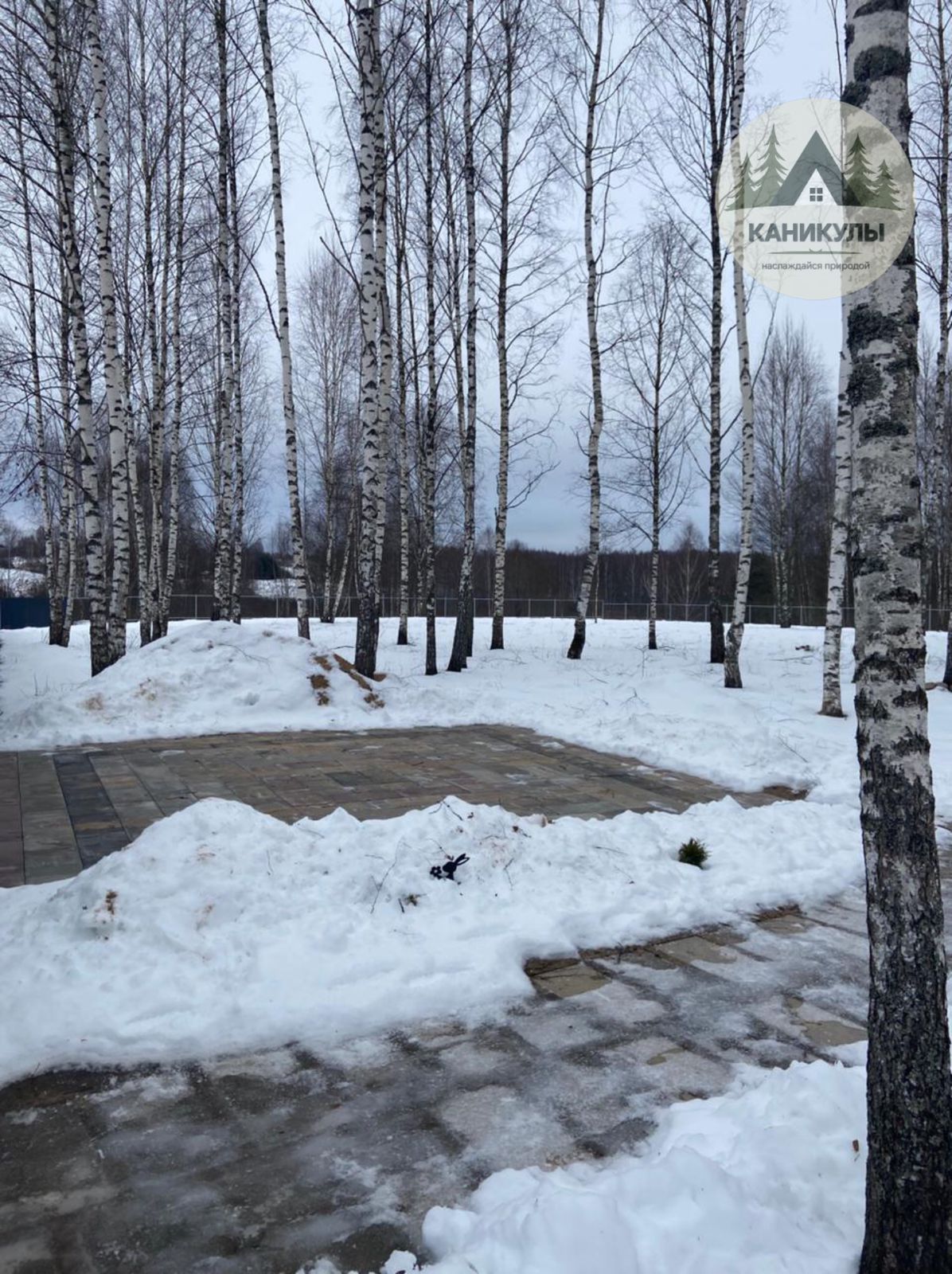 Фото Каникулы