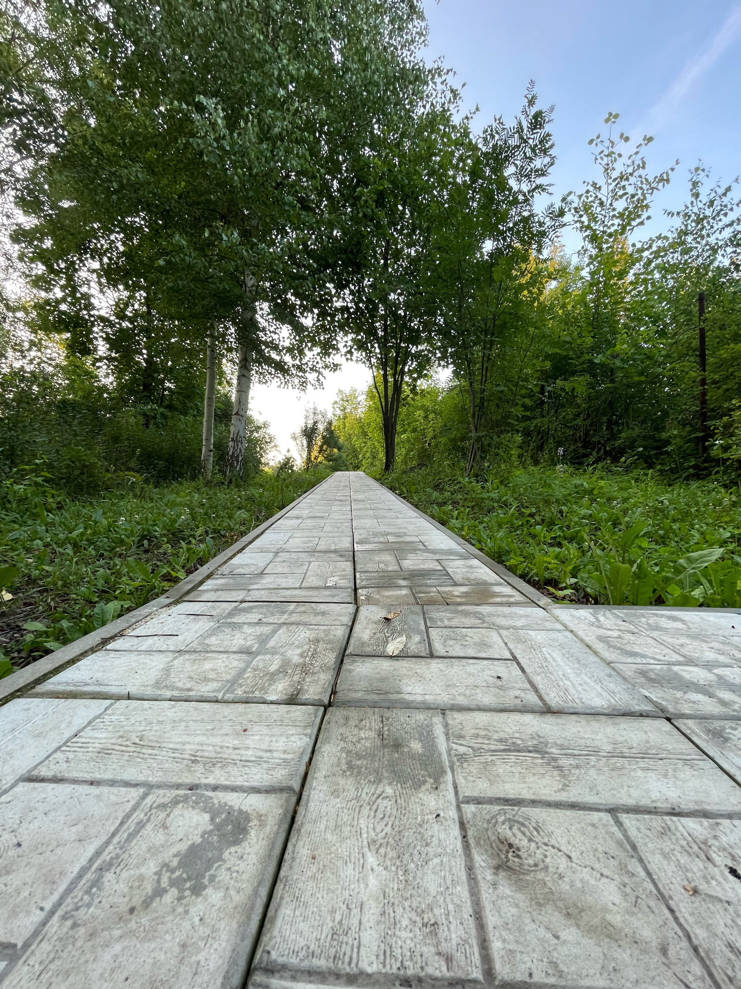 Фото Стрела