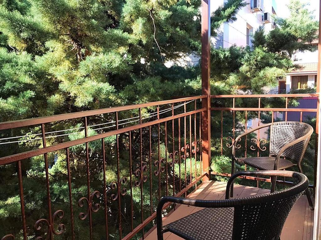 Фото Сапфир