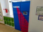 Ozon Box (ulitsa 40 let Oktyabrya, 7), parcel automat