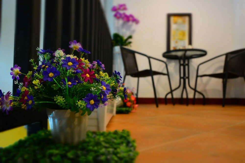 Фото Seedling House