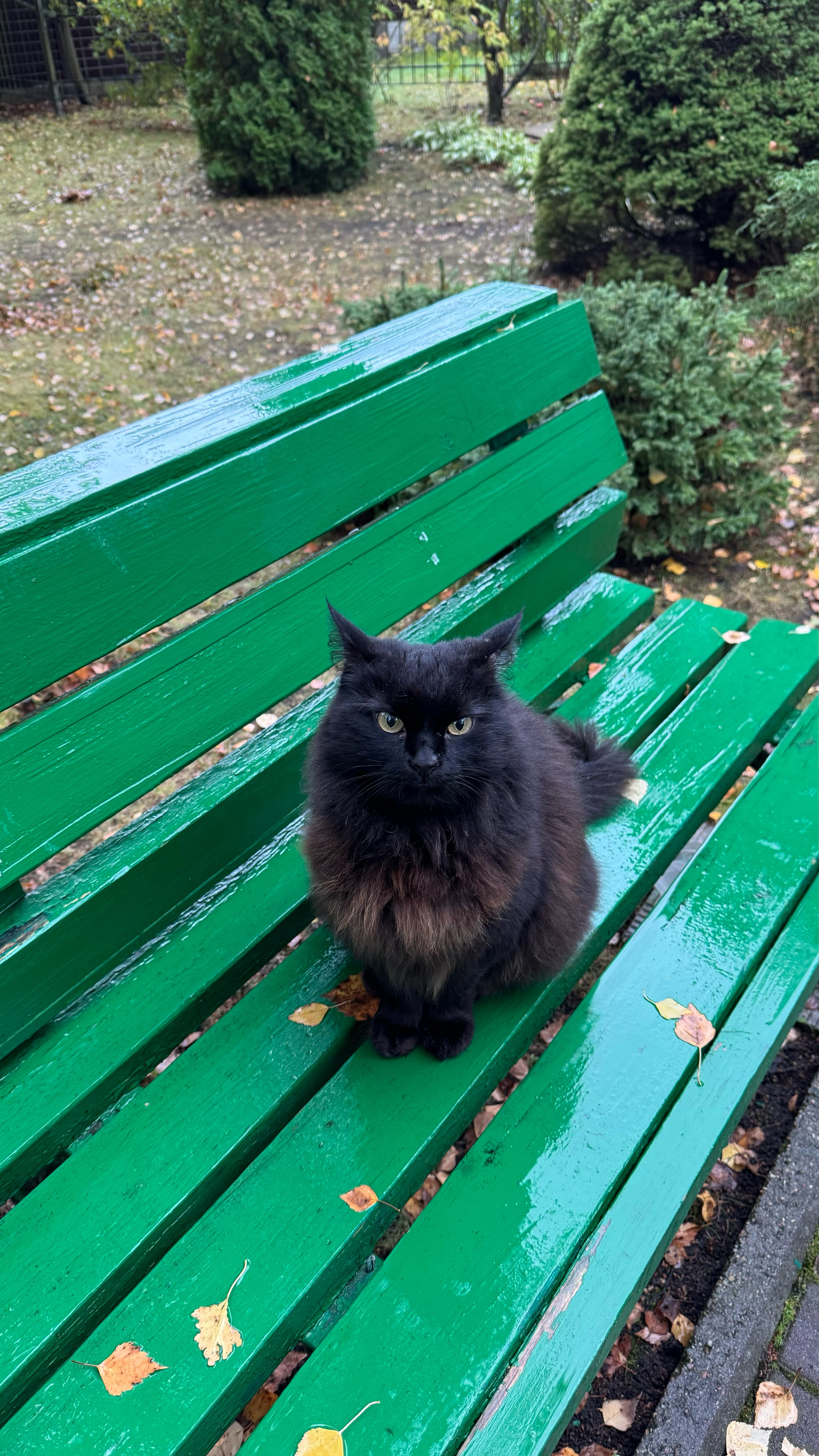 Фото Вилла Гренч