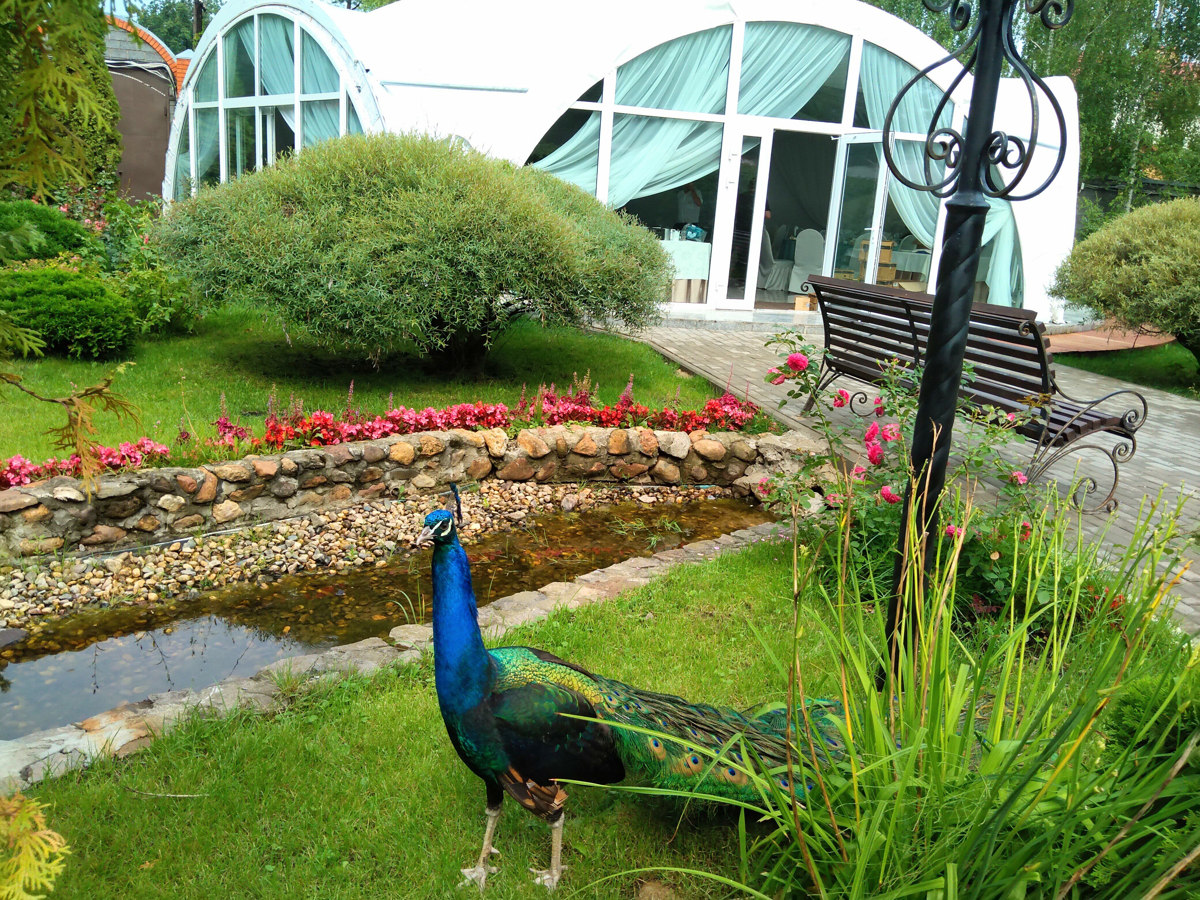 Фото Загородный комплекс Норд Стар