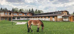 Ecorancho (Moscow Region, Mozhayskiy City District, Yurlovskiy territorialny otdel), restaurant