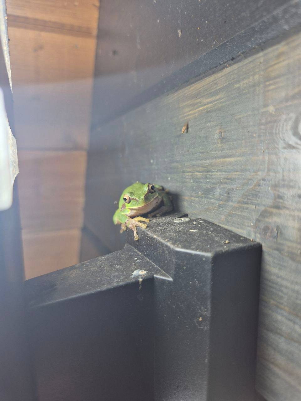 Фото Эко-коттеджи DiAlex