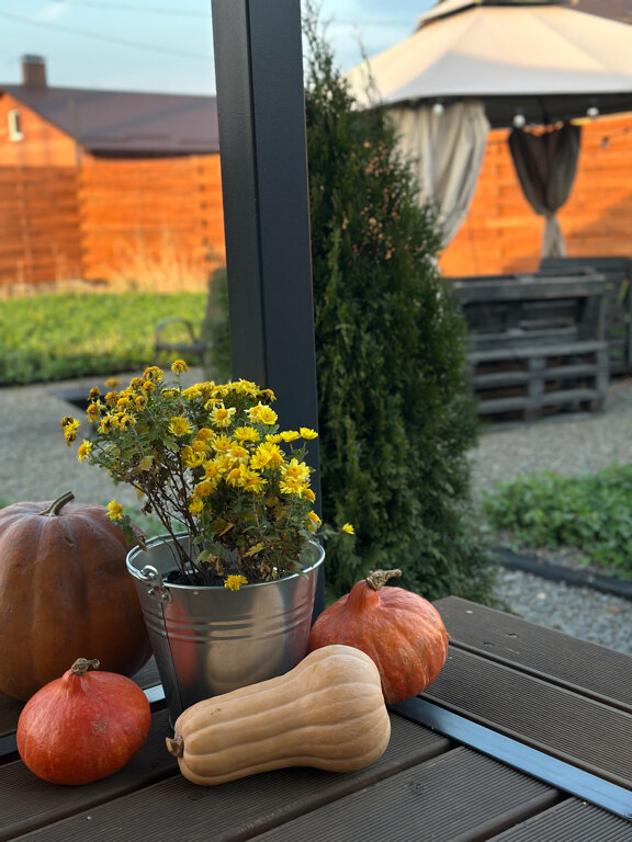 Фото Сердце Отрадного