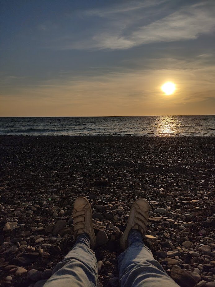 Фото Розмарин