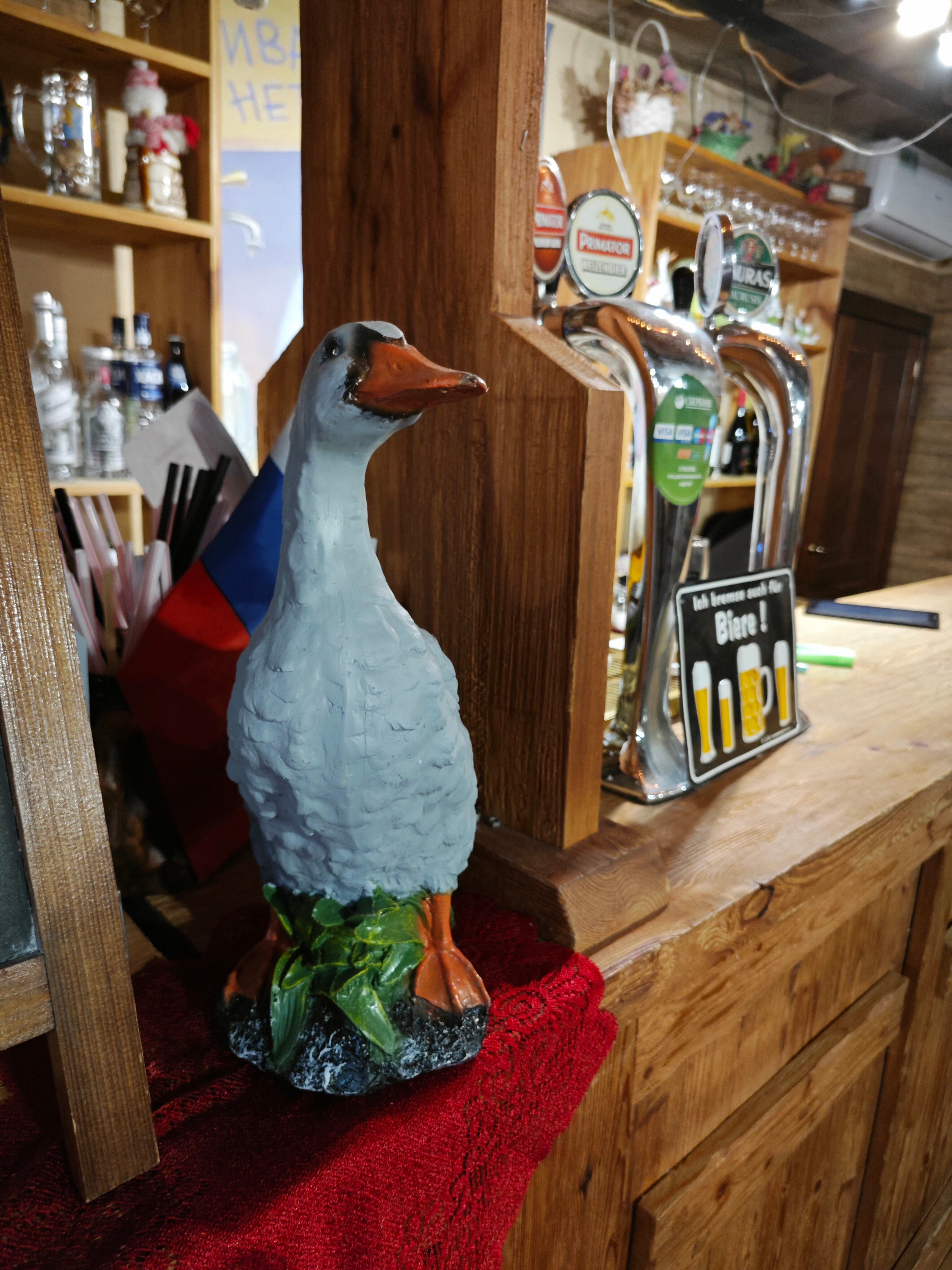 Фото Серый гусь