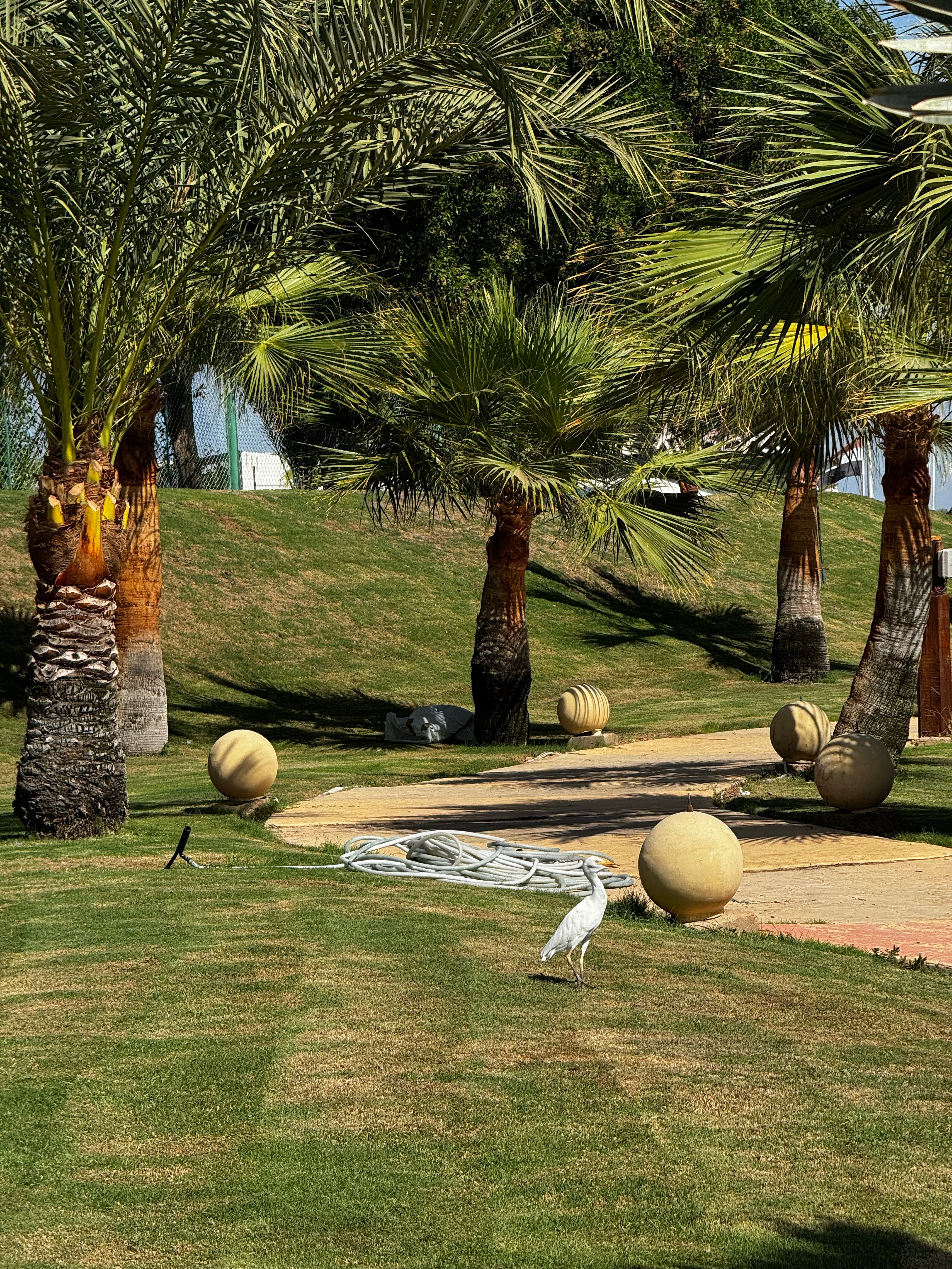 Фото Xperience Kiroseiz Parkland