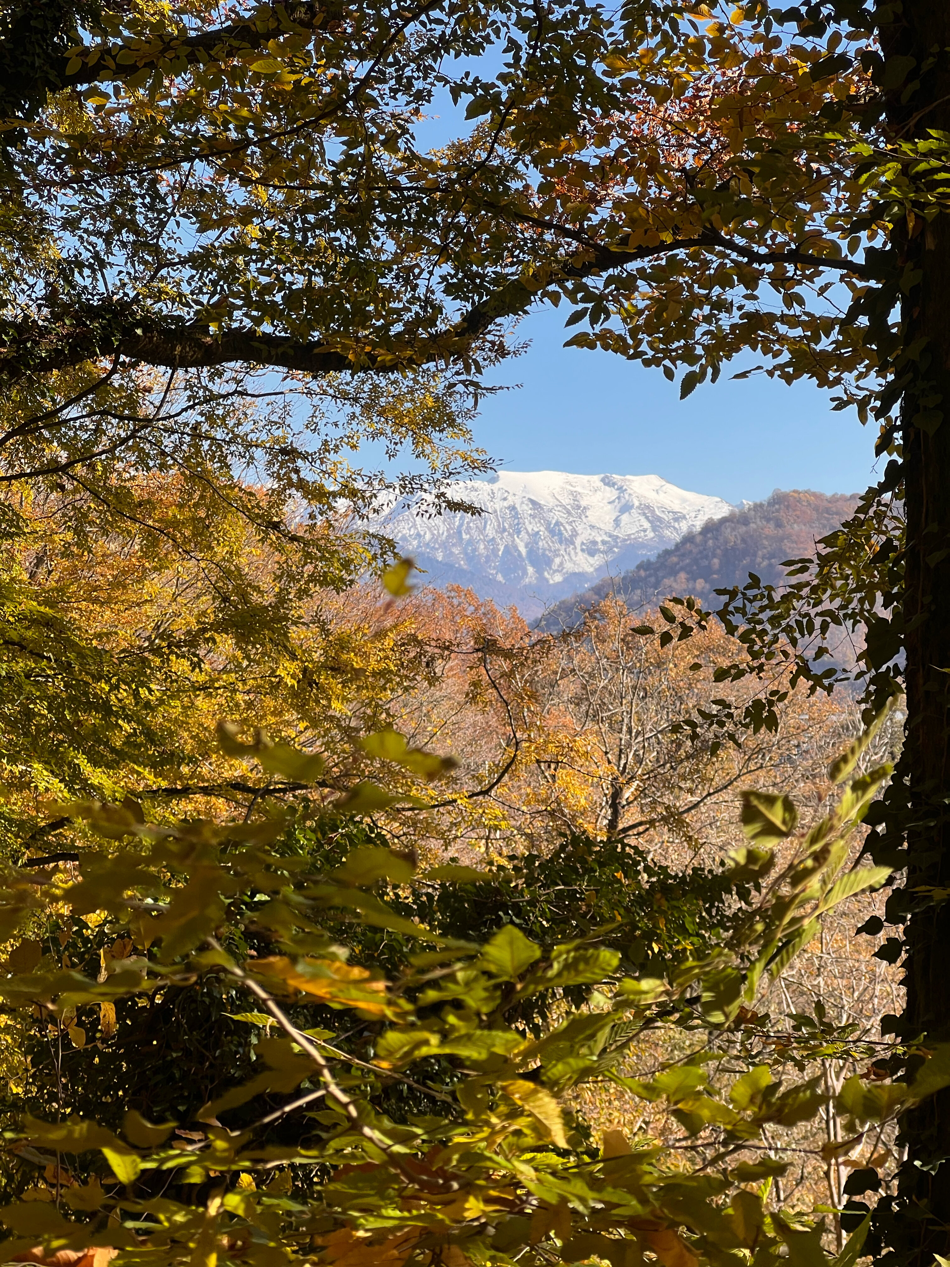 Фото Горный воздух