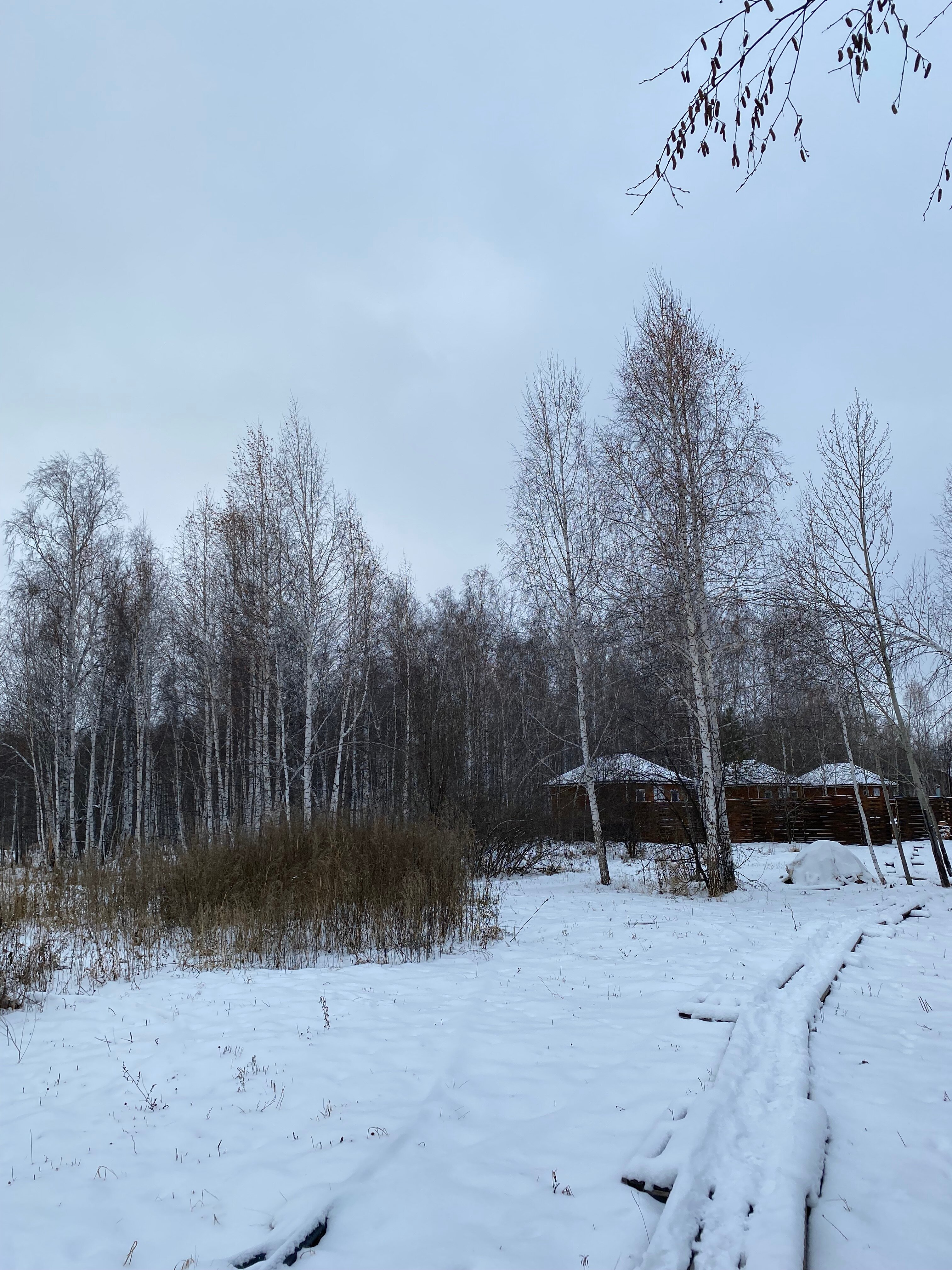 Фото Гнездо семейного счастья