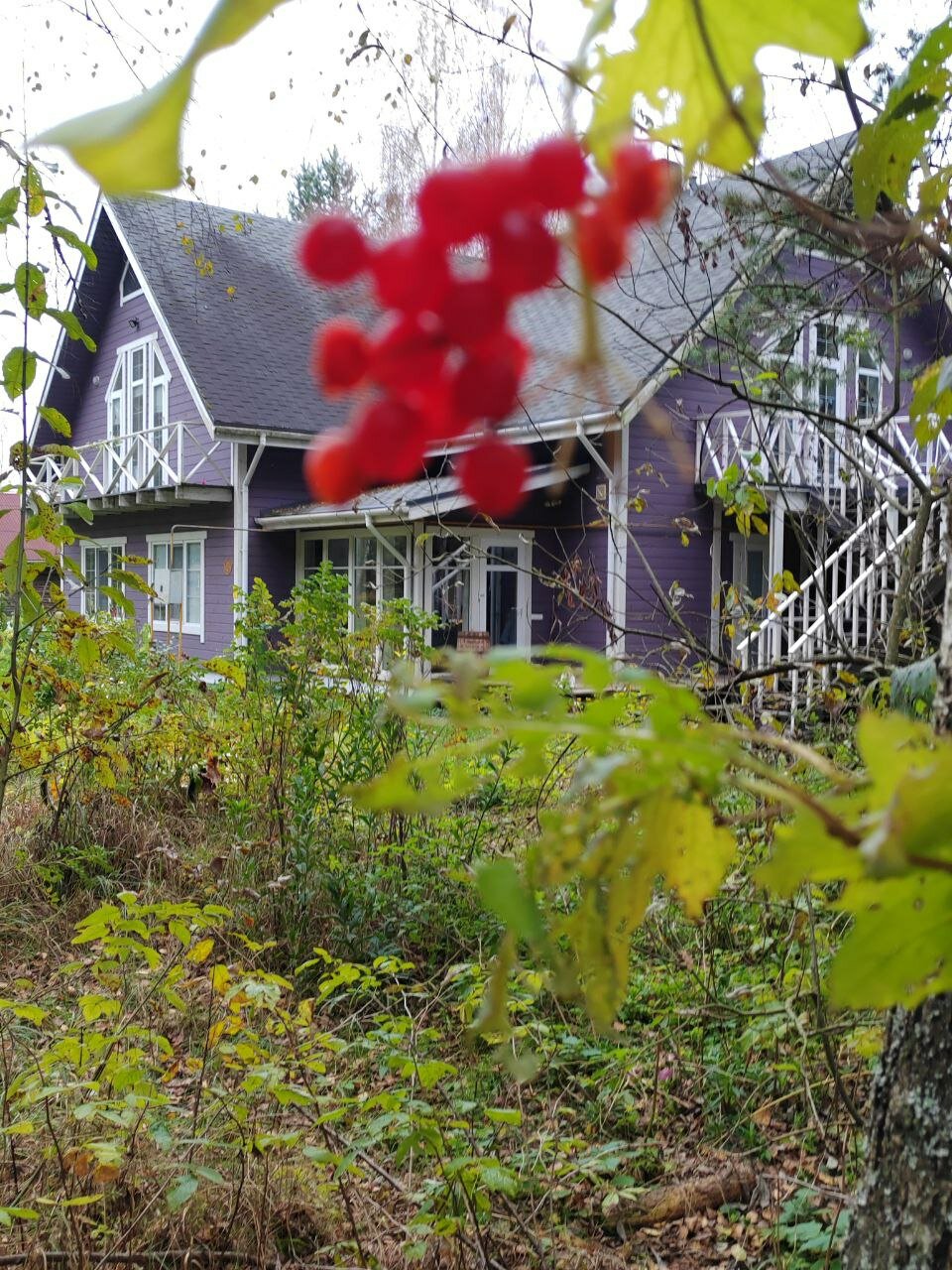 Фото Хутор Малиновка