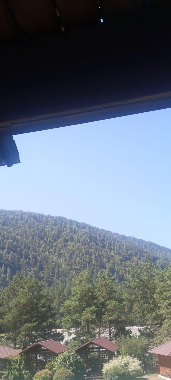 Фото Индиго