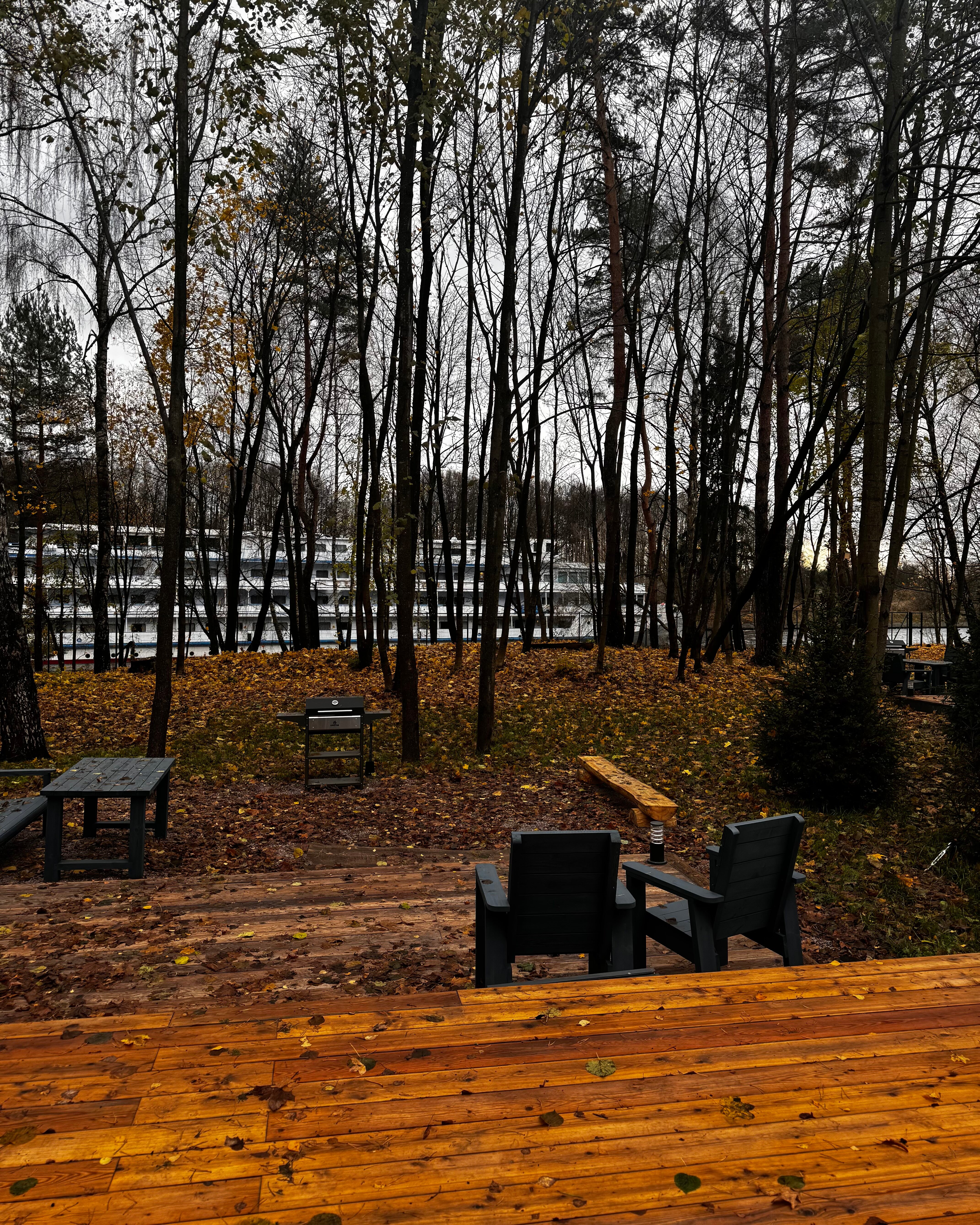 Фото Берега