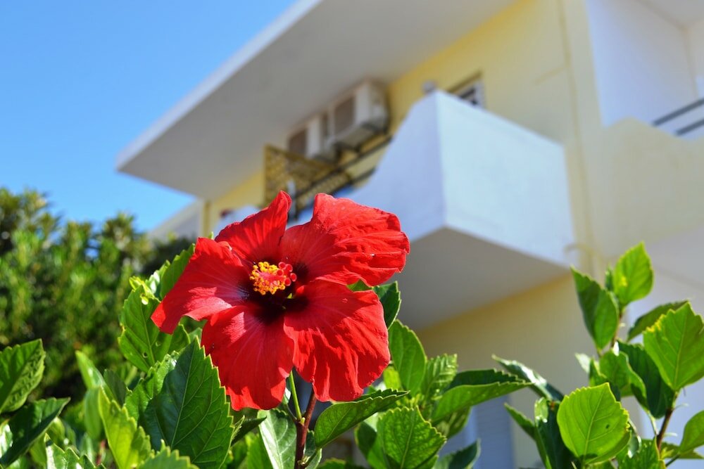 Фото Yiannis Apartments