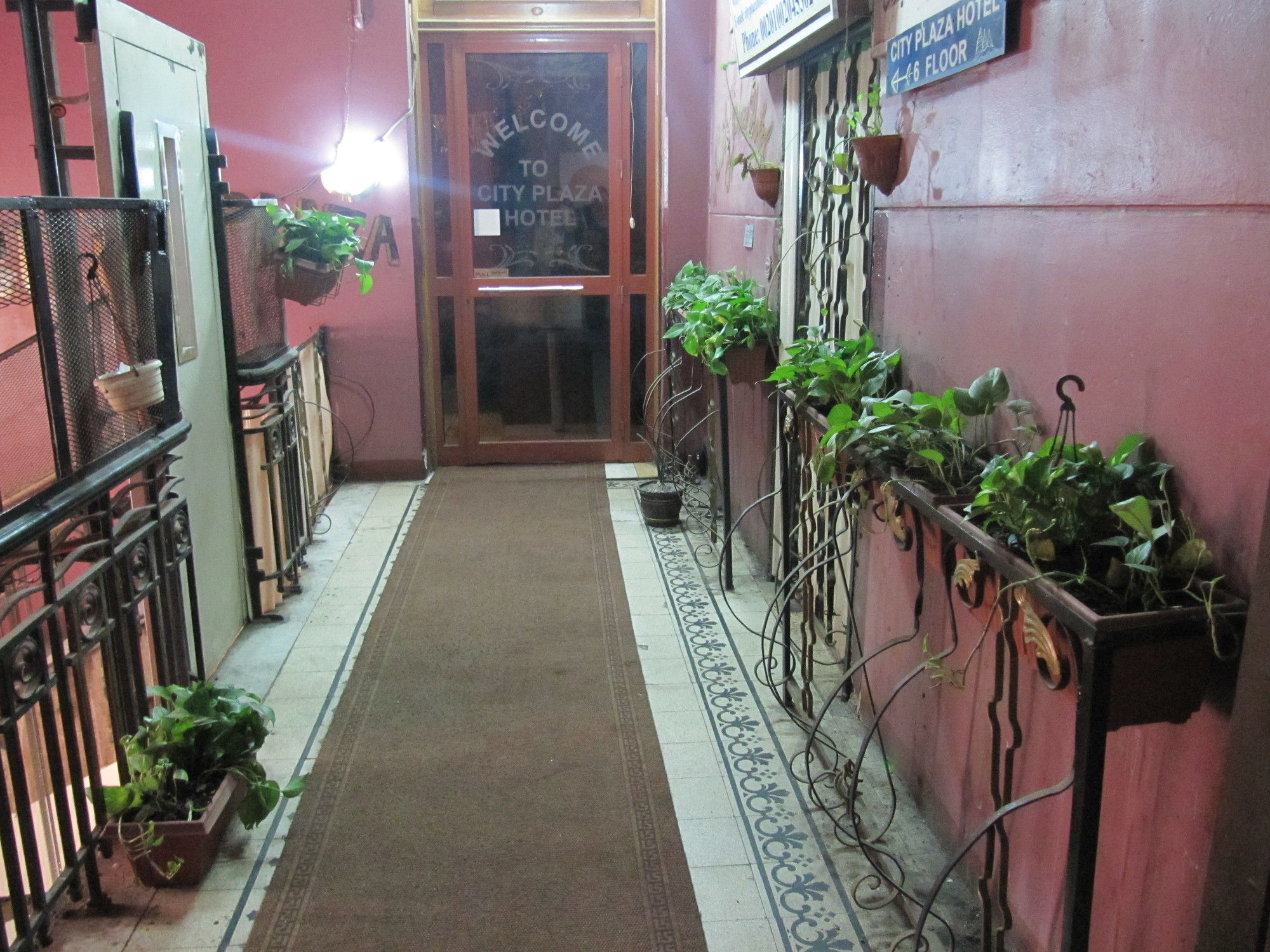 Фото City Plaza Hostel