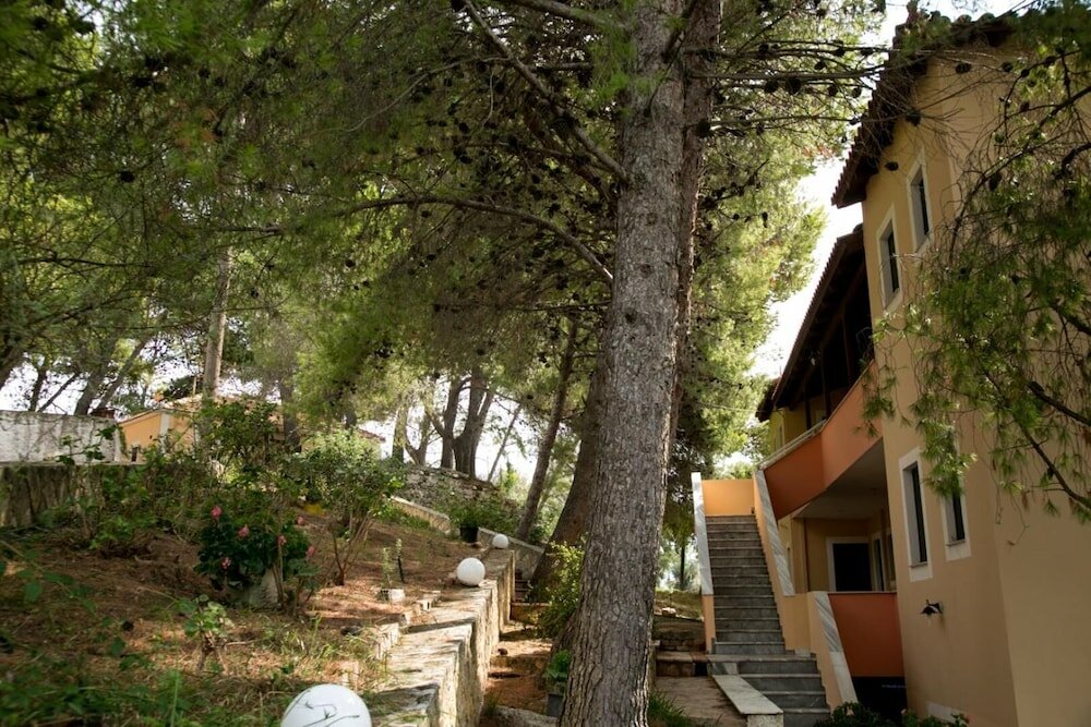 Фото Almyros Studios & Apartments