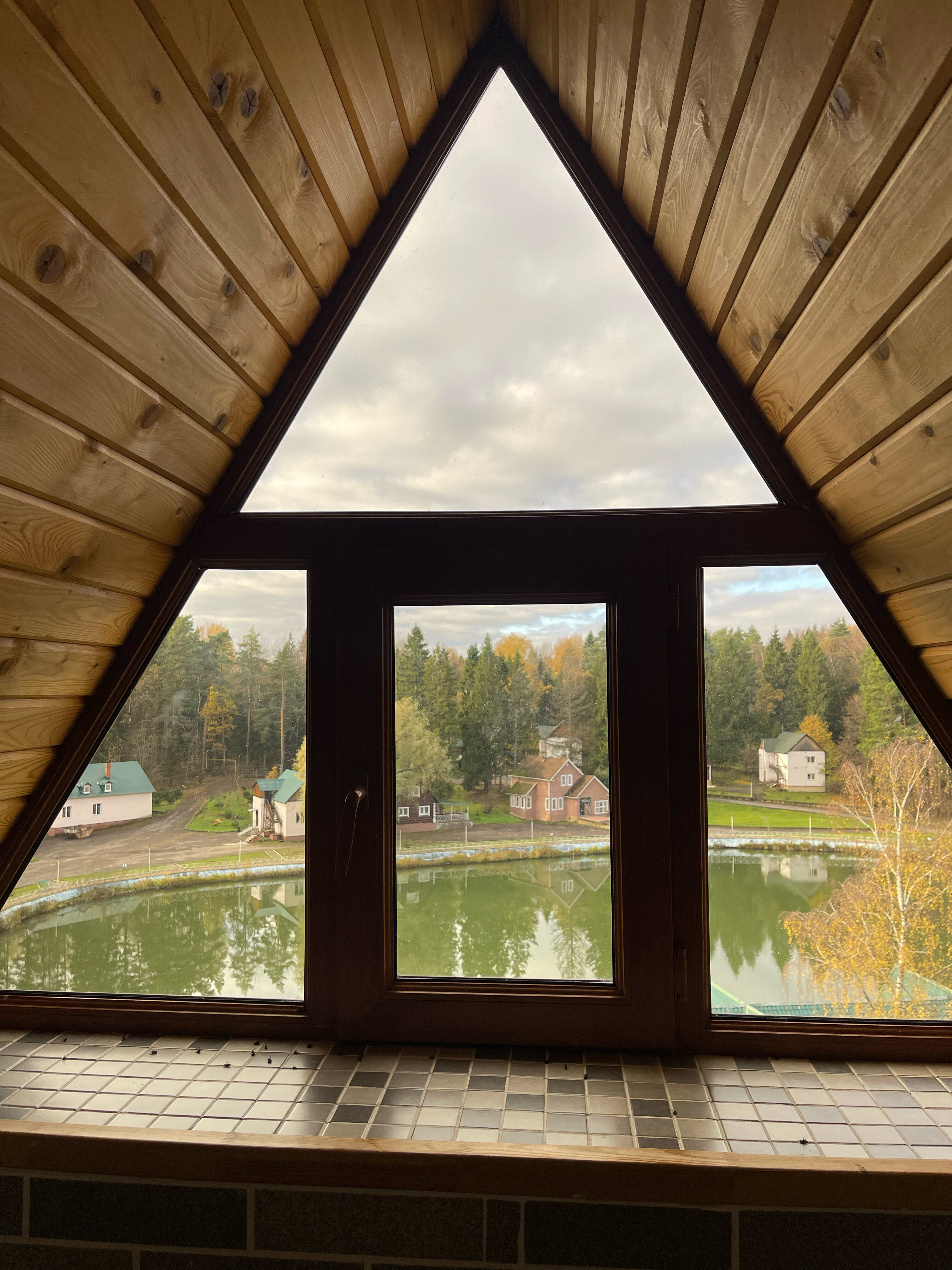 Фото Лесная сказка