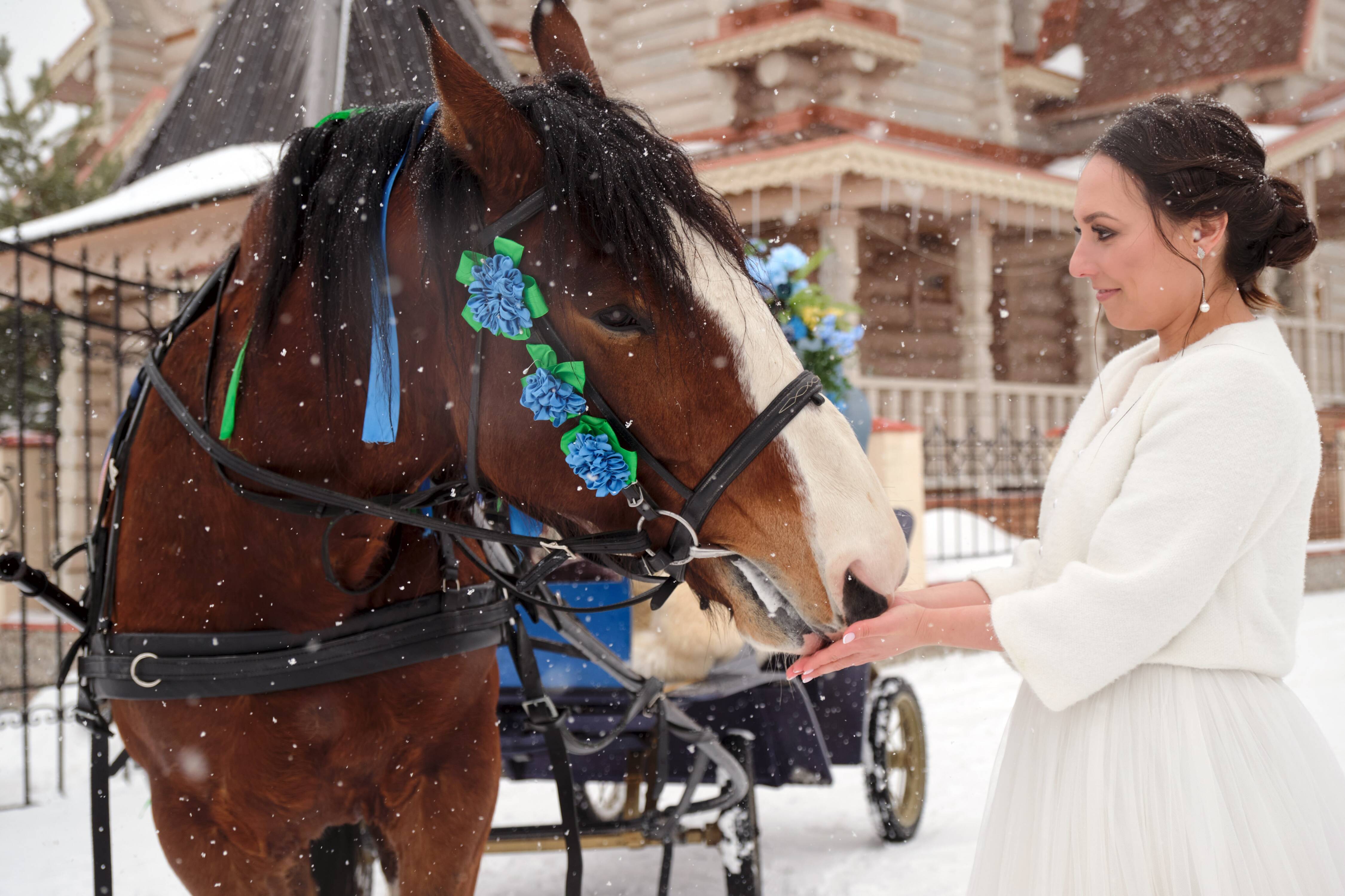 Фото Усадьба Бушарино