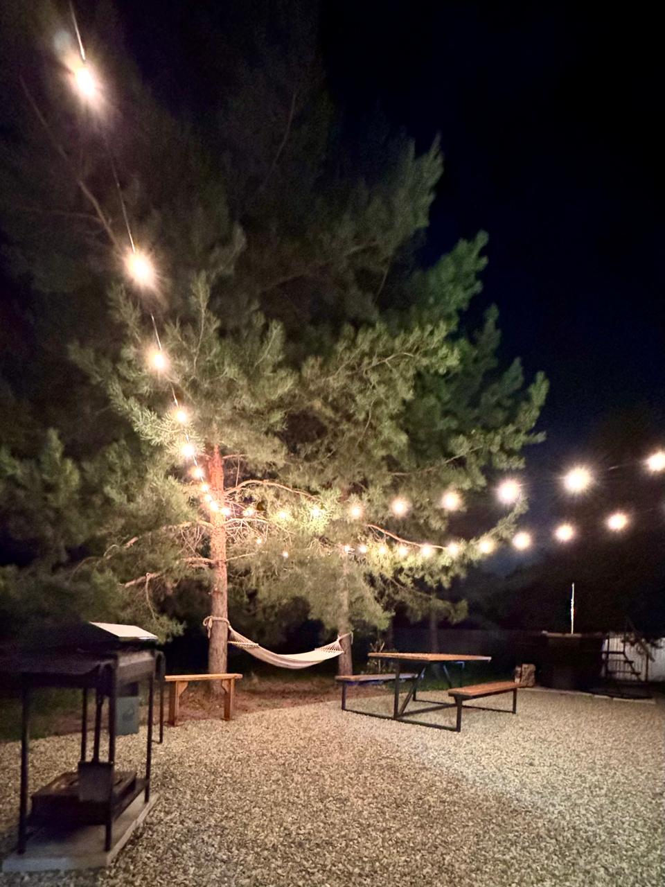 Фото Лесная Хижина