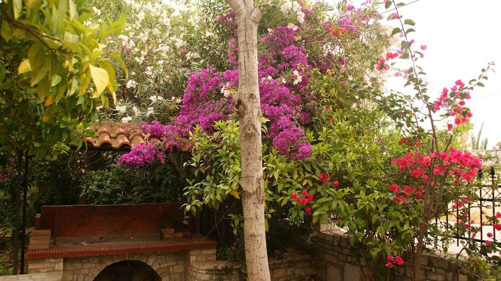 Фото Villa Christina