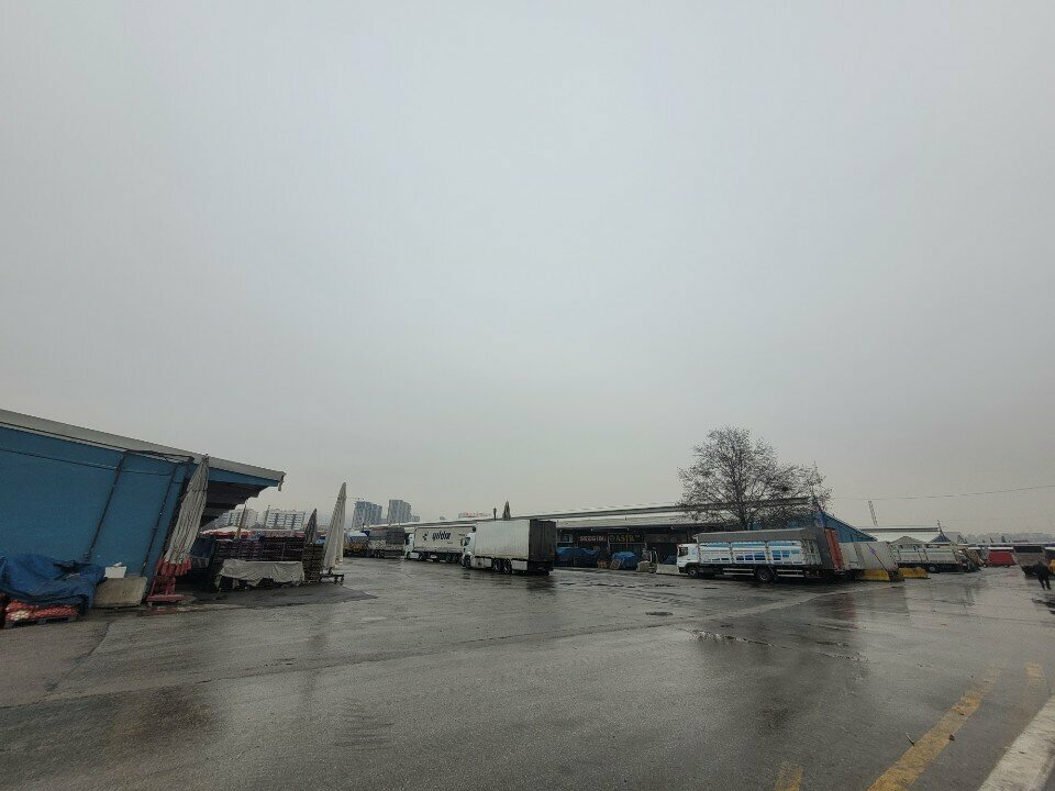 Toptan sebze ve meyve satışı Ankara Büyükşehir Belediyesi Toptancı Hali, Ankara, foto