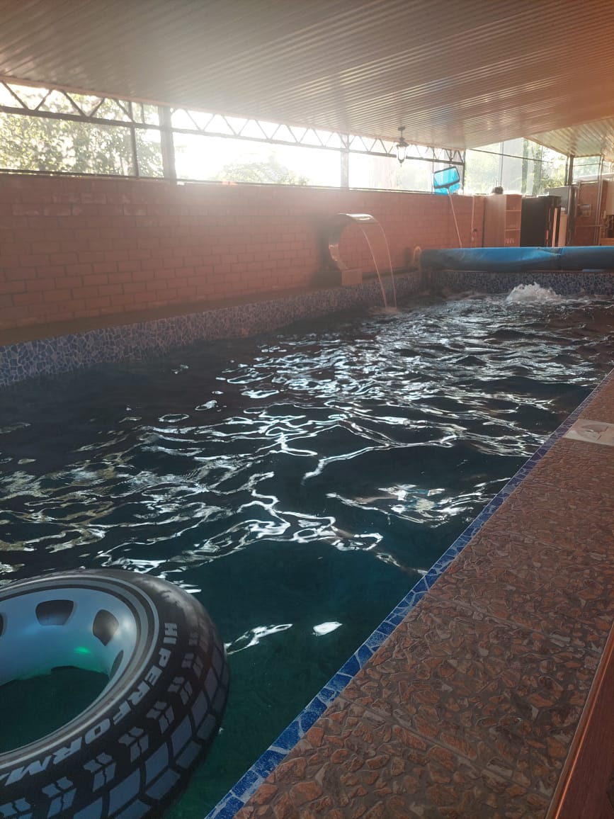 Фото Круглогодичный Тёплый бассейн