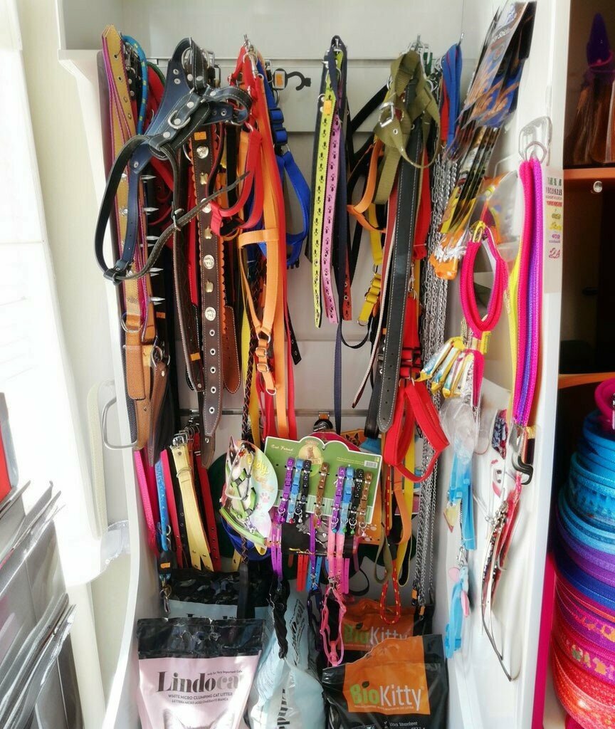 Veterinary clinic Savas Veterinary Clinic, Kula, photo