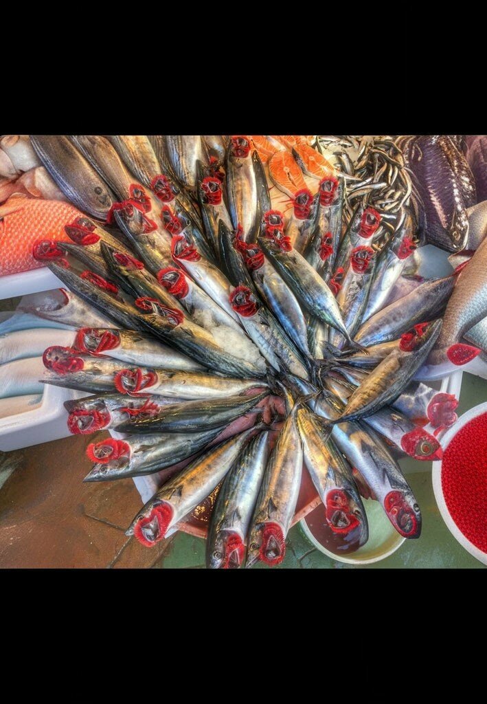 Fish and seafood Kaan Fish, Izmit, photo