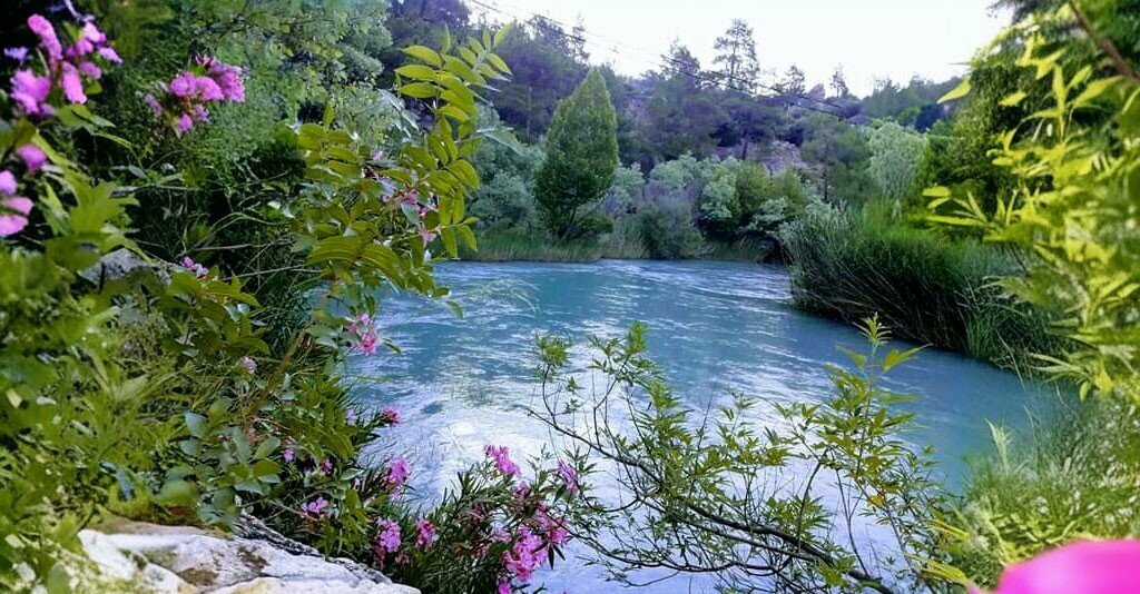 Primary school 75th Year Distas Middle School, Mut, photo