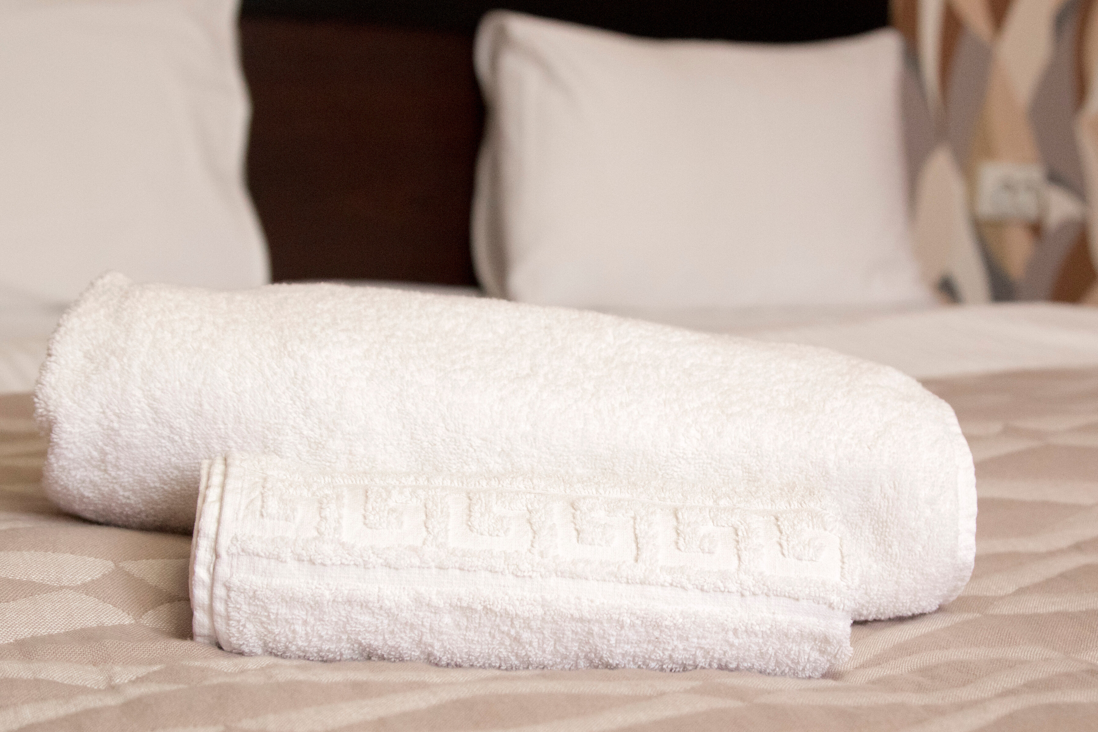 Фото Абрикос