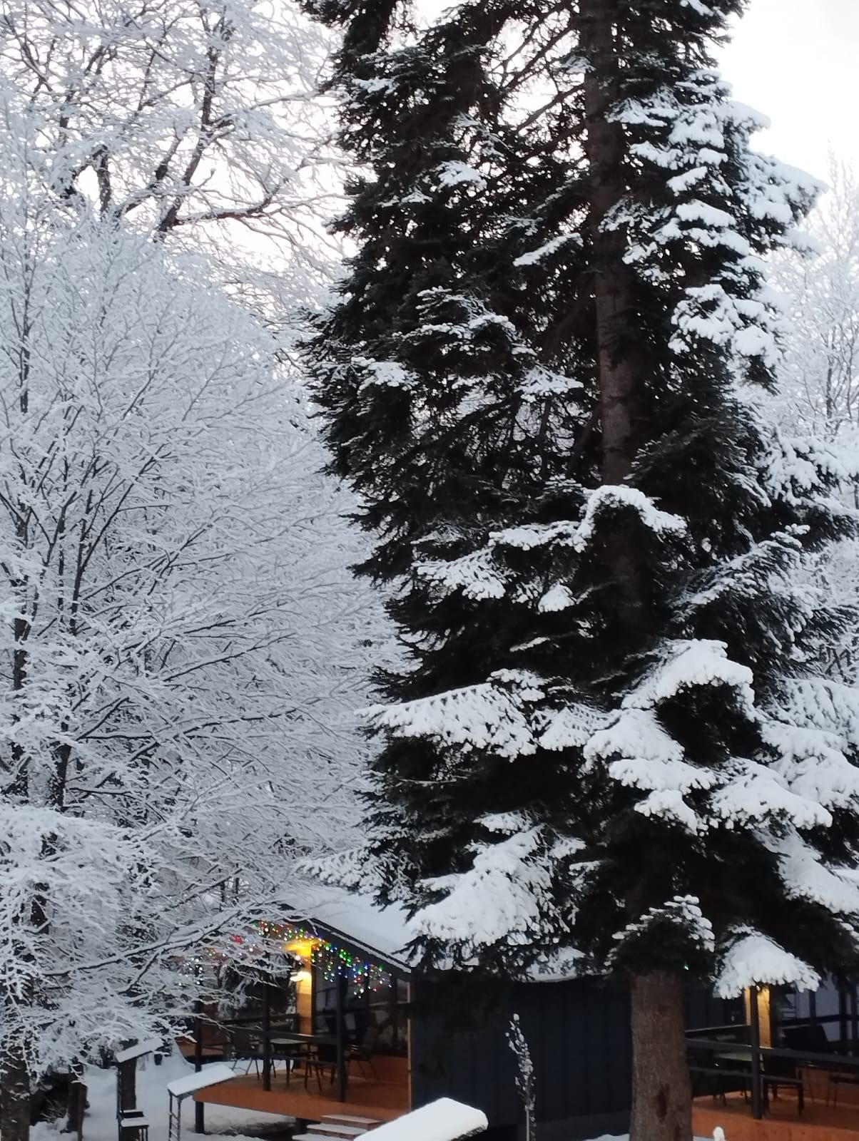 Фото ЗимаЛето