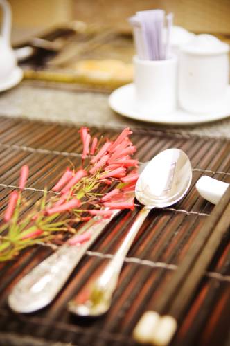 Фото 178835307670