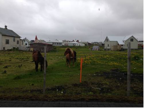 Фото Steinar Guesthouse