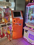 CityPay (Vilskogo Street, 16Г), payment terminal