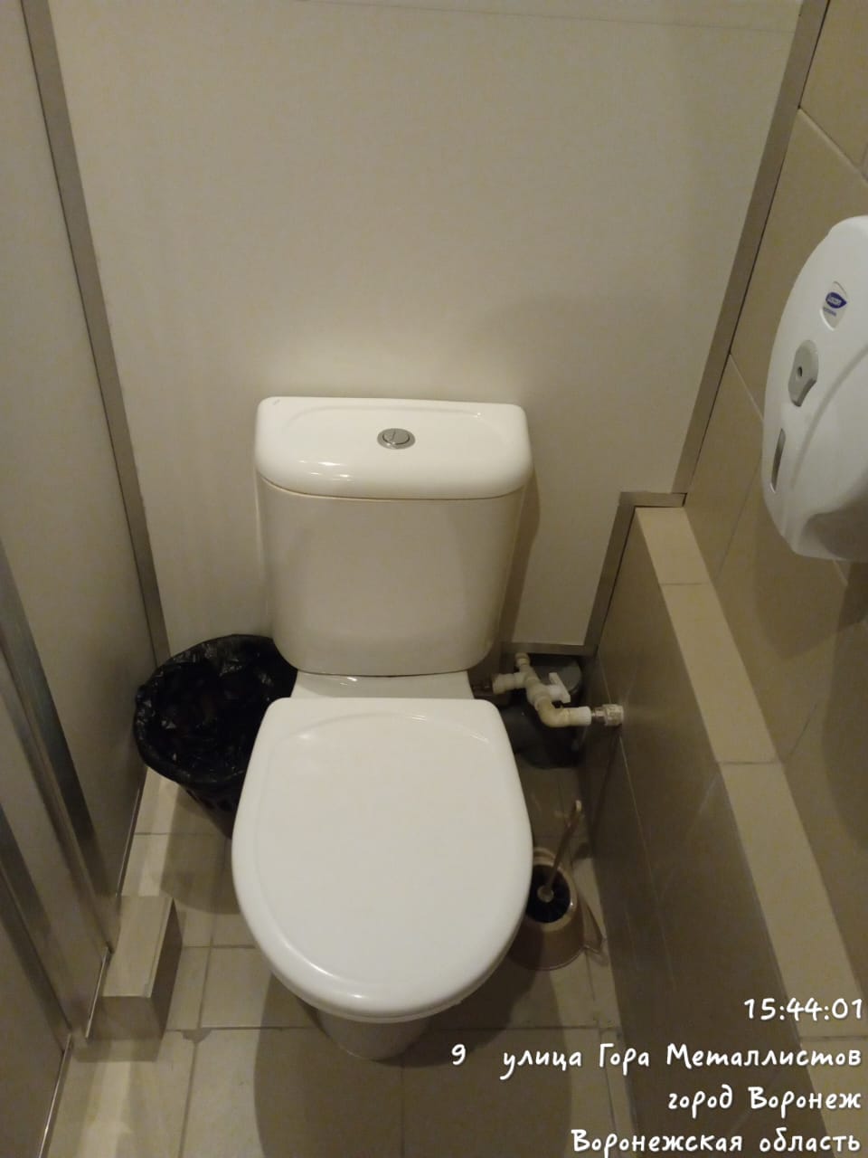 Фото Лектус