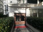 Dentist Zehra Elemek (İstanbul, Kadikoy, Bostancı Mah., Tayyareci Resmi Sok., 15), médicos privados