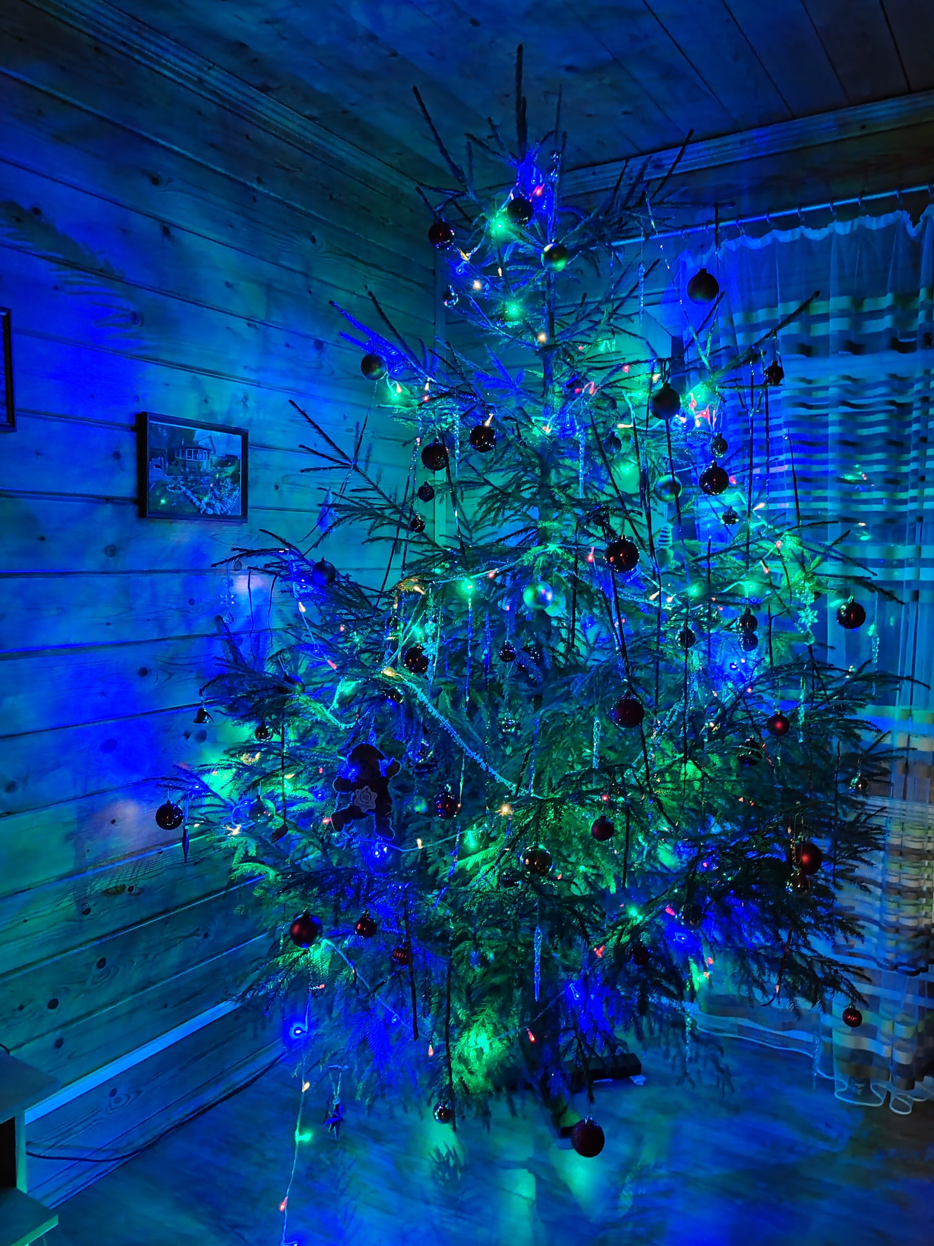 Фото Плотично