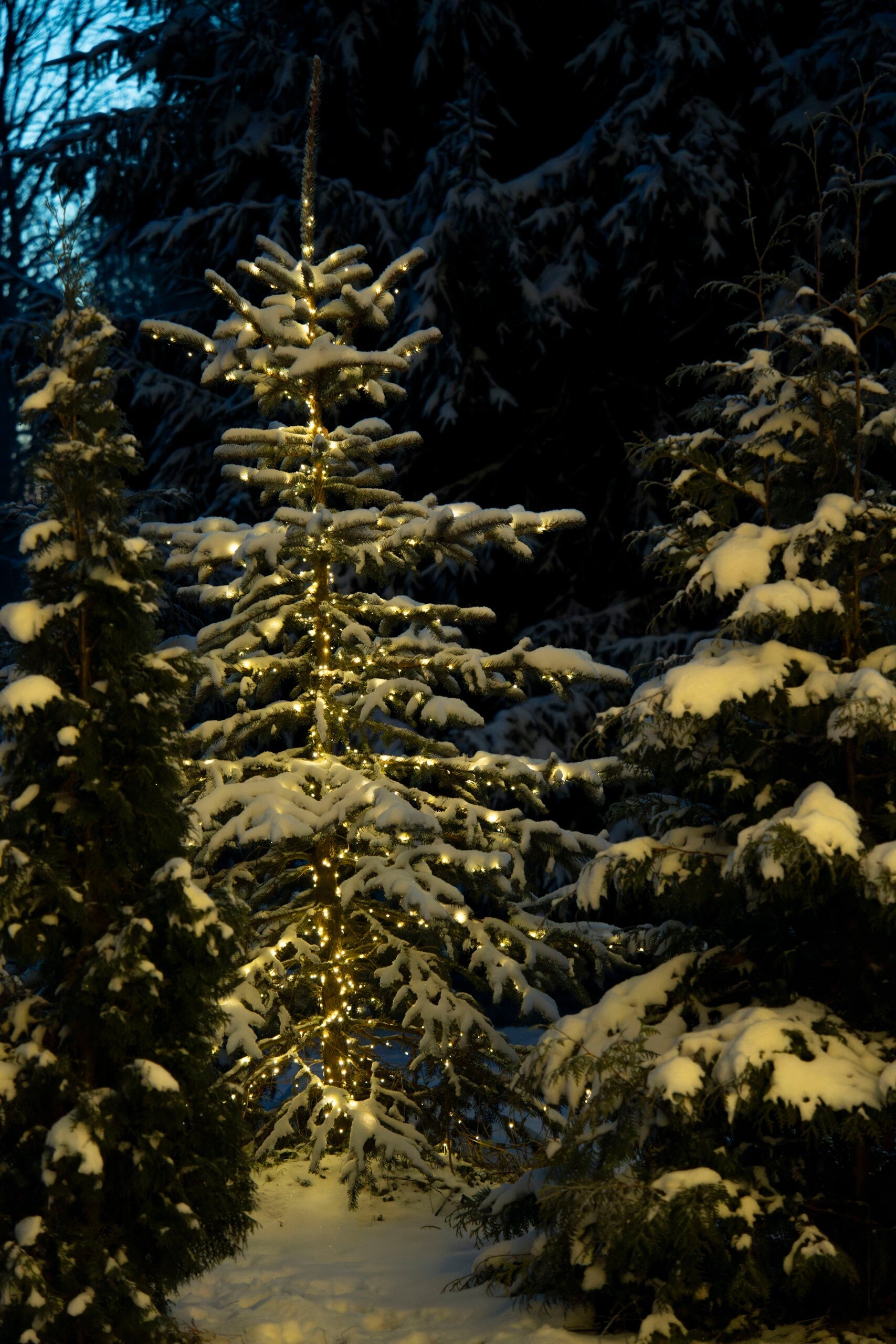 Фото Хутор Кууса