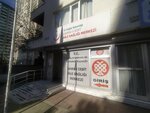 Cesur Nakliyat (İstanbul, Kadikoy, Sahrayıcedit Mah., Halk Sok., 1), compañía logística