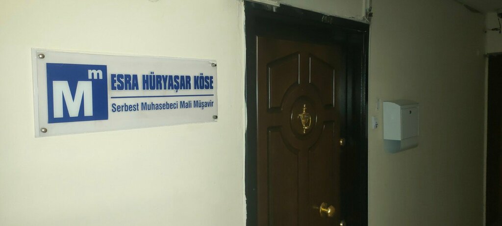 Tax consultants Esra Huryasar Kose Certified Public Accountant Financial Advisor, Izmir, photo