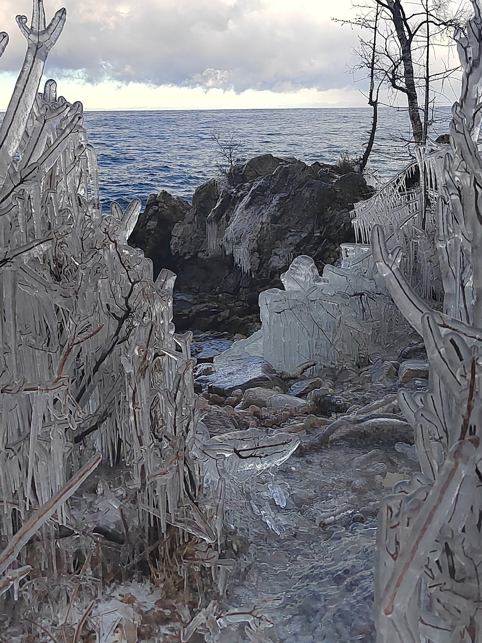 Фото Семейный