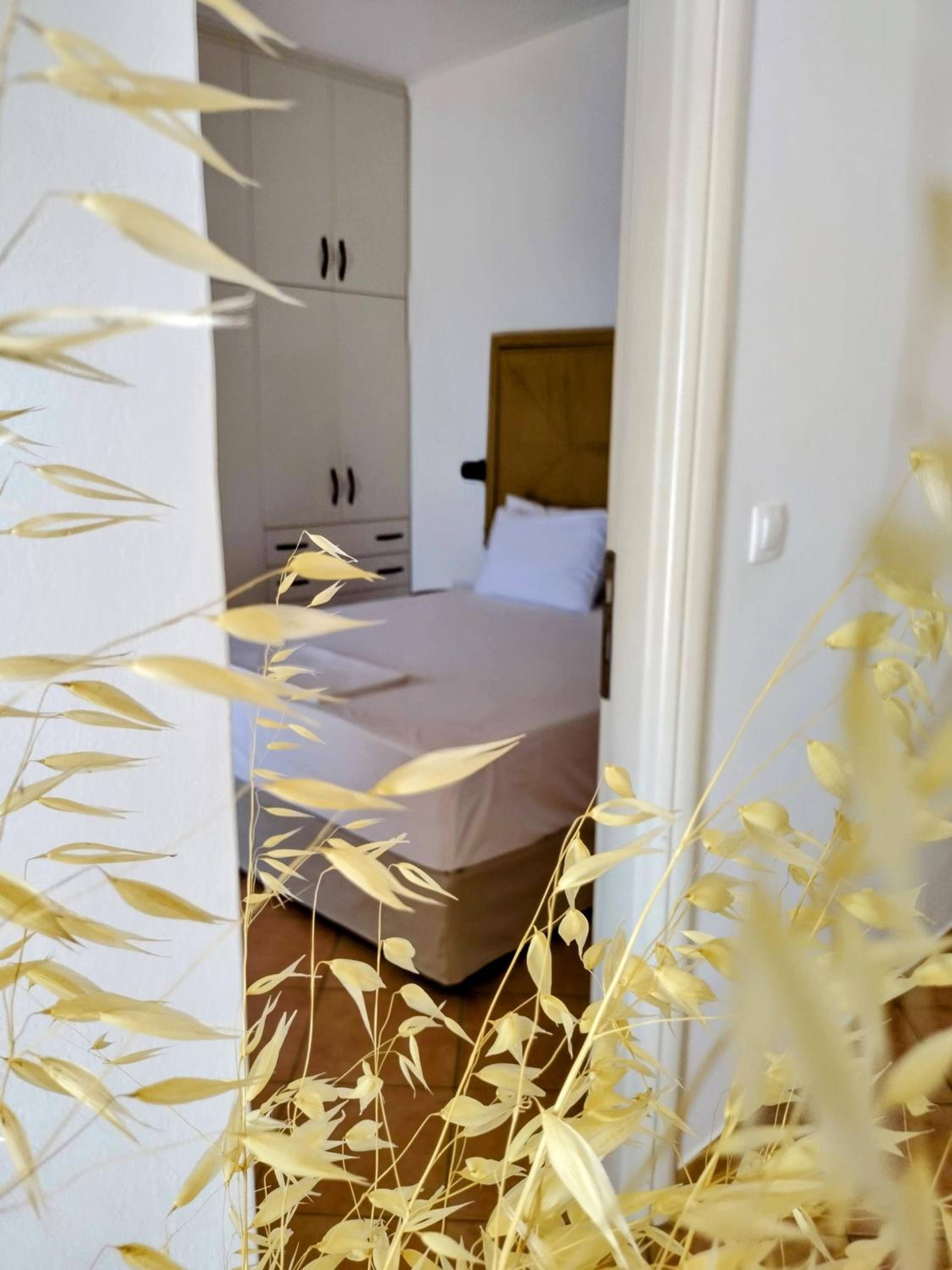 Фото Lefkanthemo