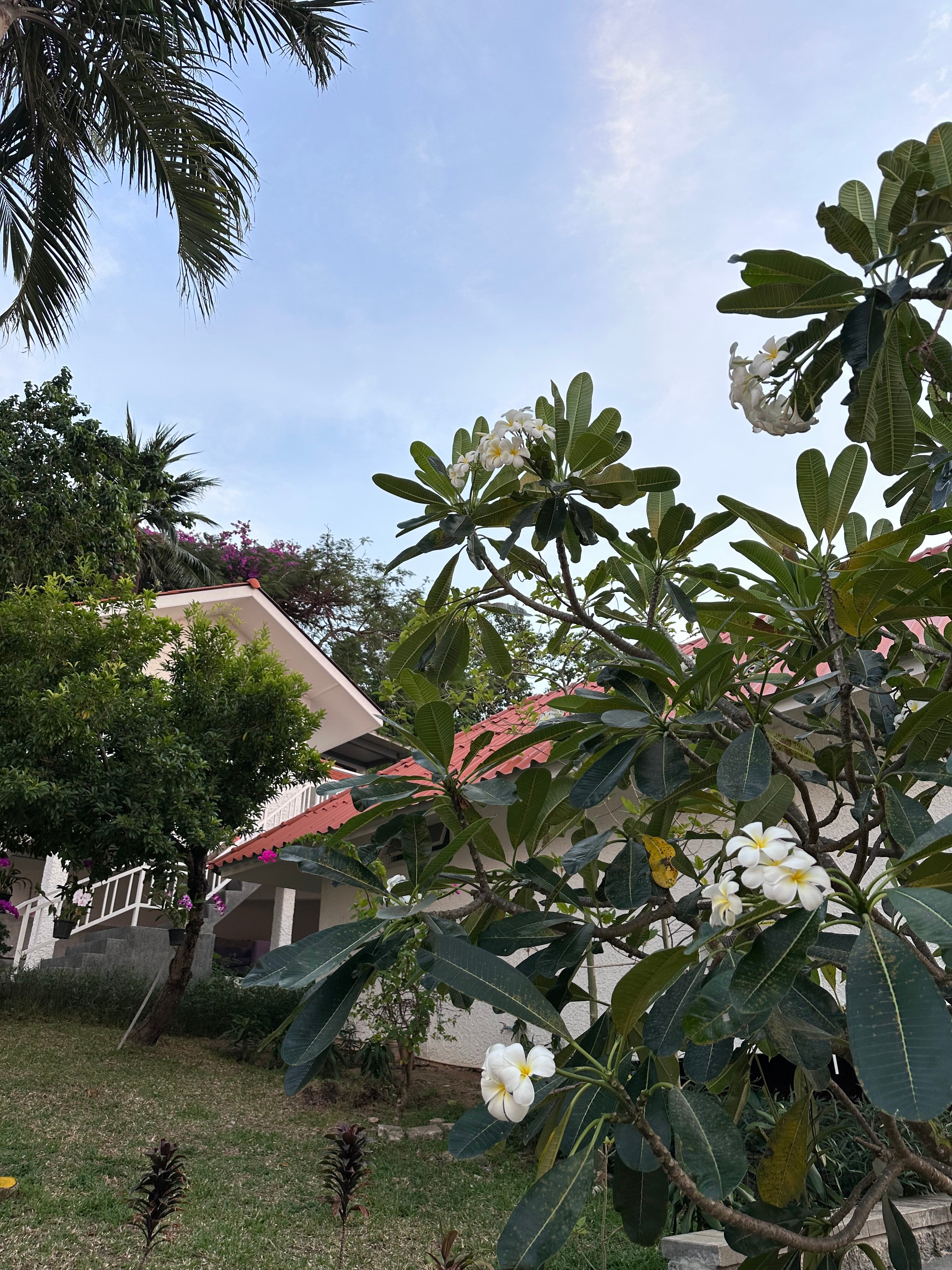 Фото Kata White Villas