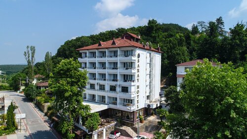 Гостиница Termal Saray Hotel & SPA в Термале