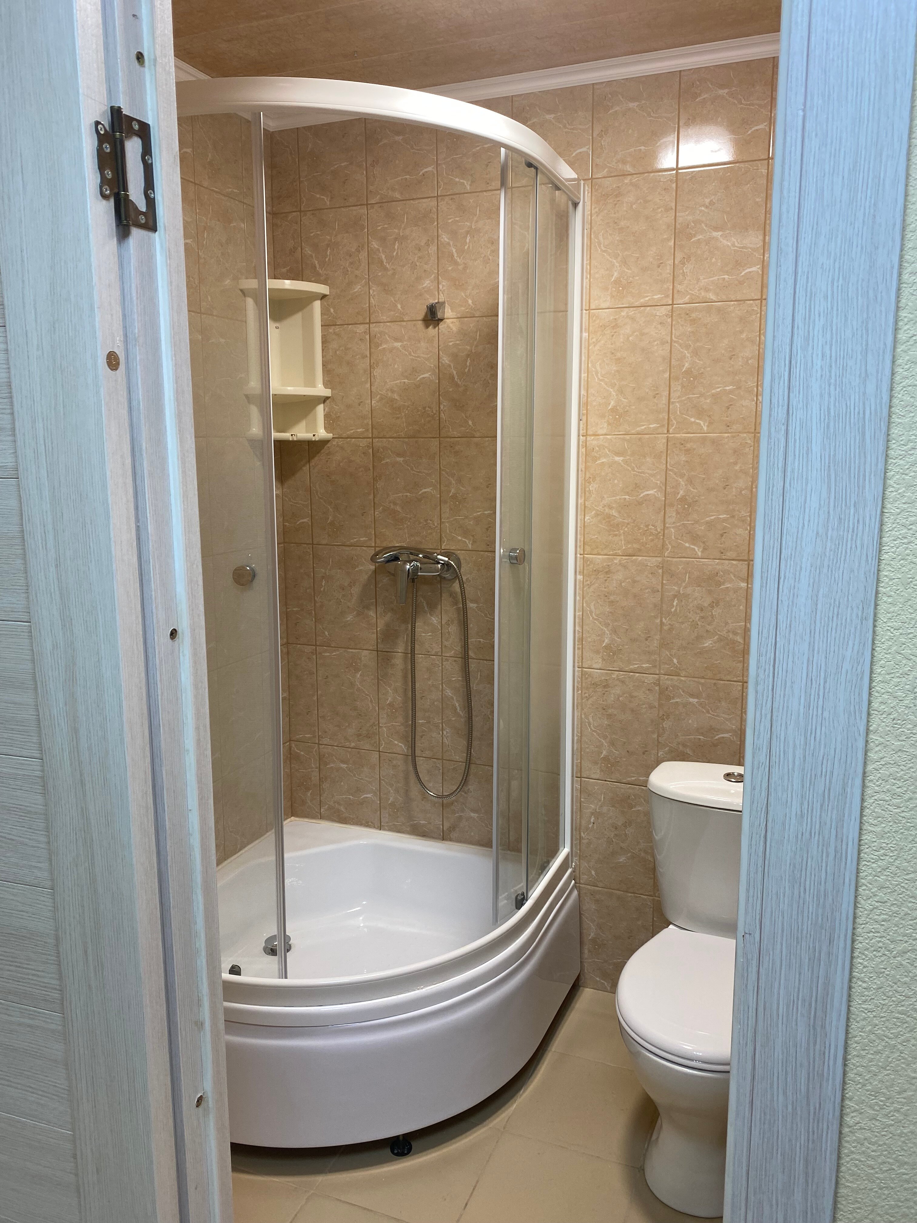 Фото Спутник