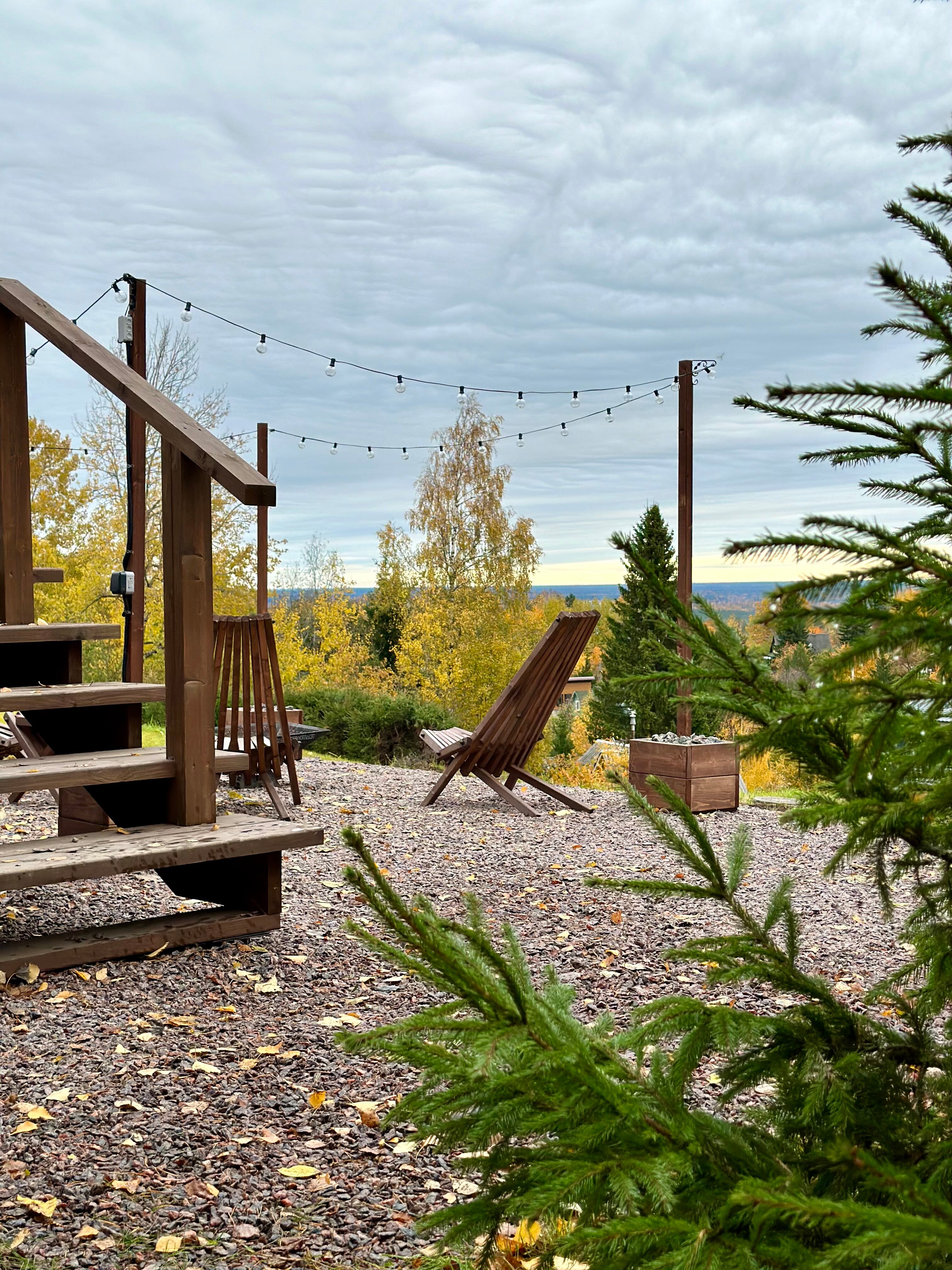 Фото Blueberry Village