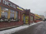 Don Pion (Petergofskoe Highway, 3к10), floristeria