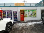 Qiwi (Kanysh Satbayev Street, 145А), terminal de pago